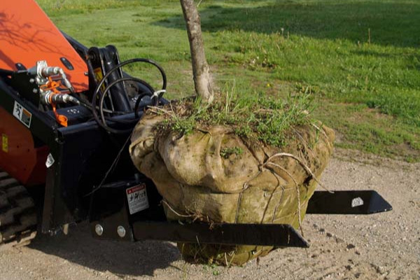 Bradco | Tree Forks | Model Tree Forks for sale at Kunau Implement, Iowa Bradco | Tree Forks | Model Tree Forks for sale at Kunau Implement, Iowa