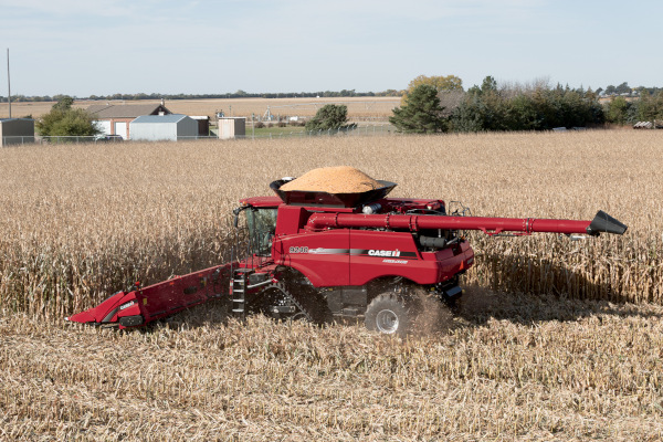 Case IH 4416N Corn Head for sale at Kunau Implement, Iowa