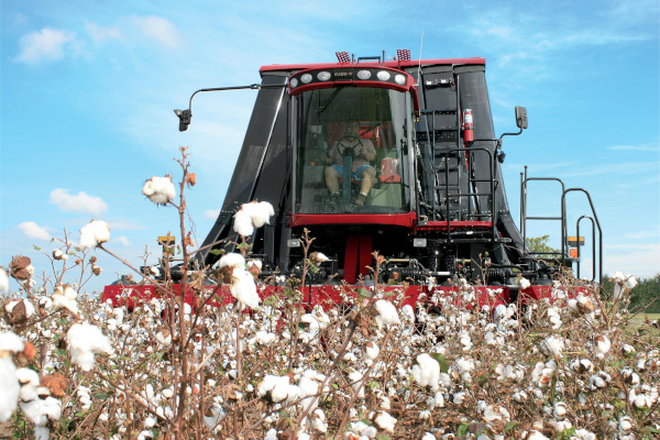 Case IH | Case IH Harvesting Equipment | Module Express Cotton Pickers for sale at Kunau Implement, Iowa