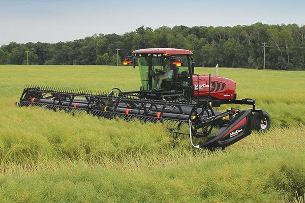 MacDon M155 E4 SP Windrower for sale at Kunau Implement, Iowa